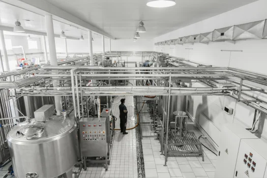 Dairy