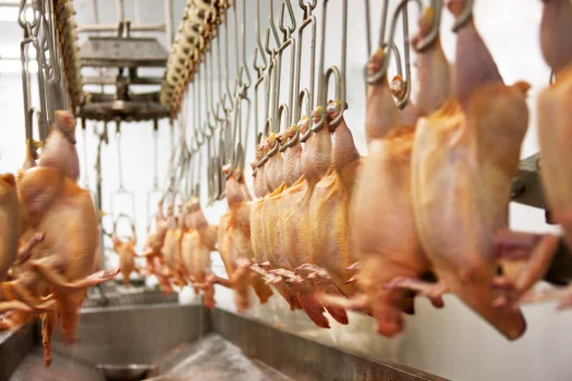 Meat Processing
